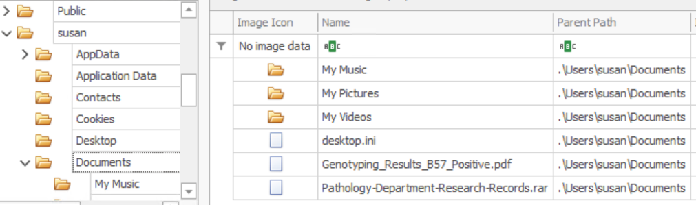MFT Explorer Documents folder